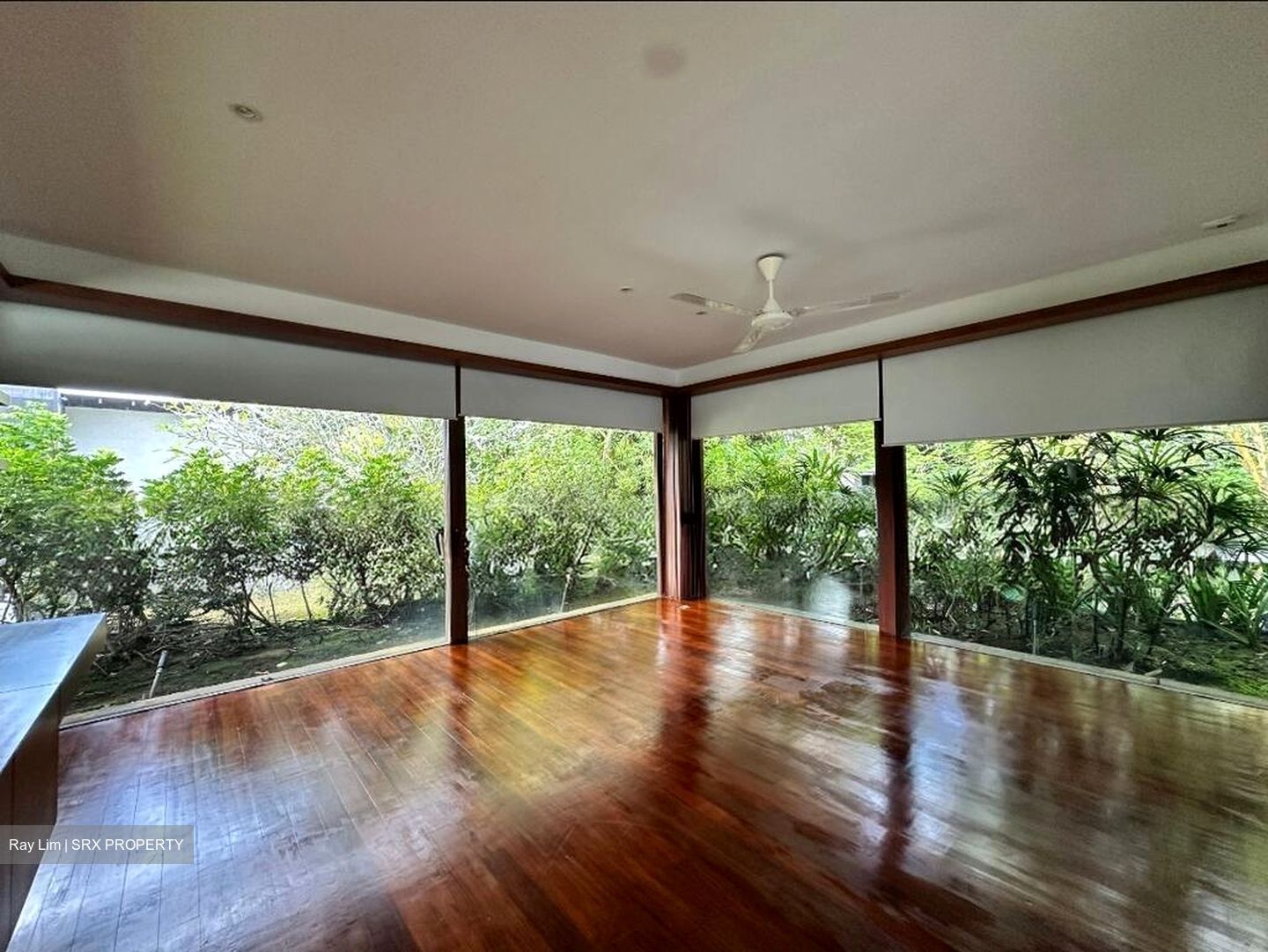 Nassim Road (D10), Detached #498149641